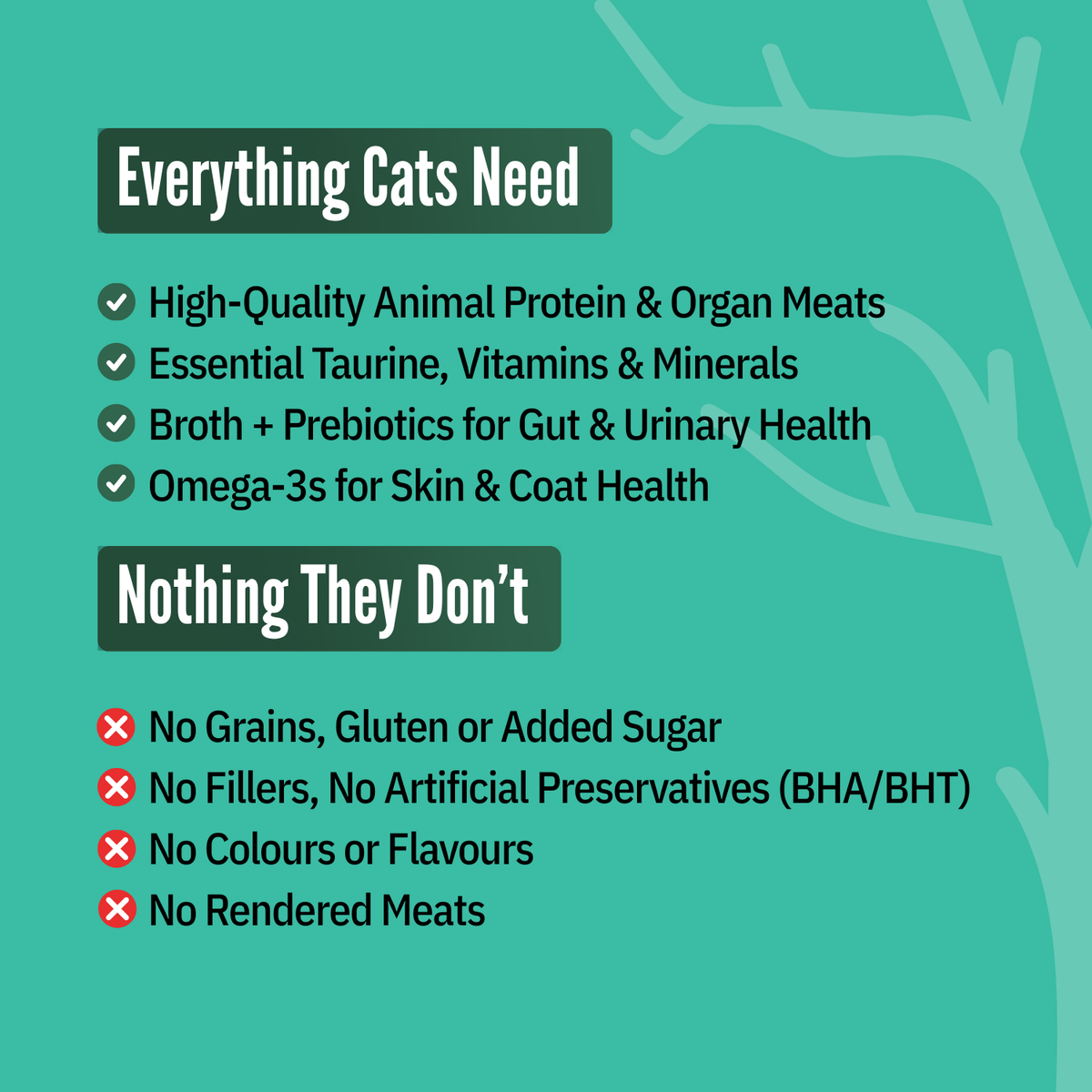 Mackerel & Tuna (Pack of 6) 70g each