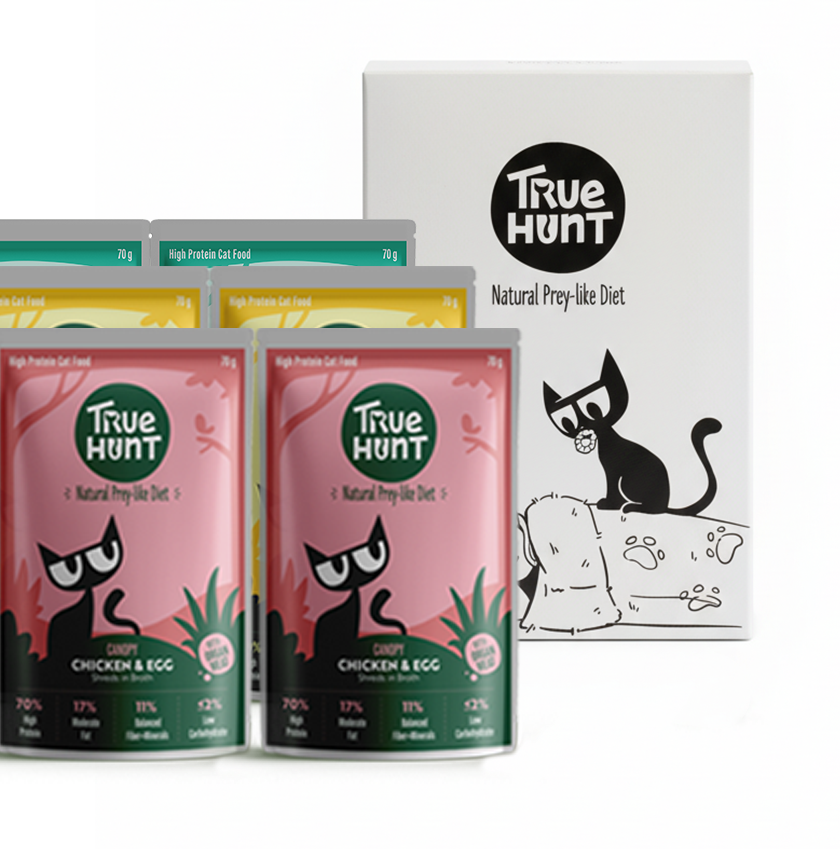 Starter Box (Pack of 6)