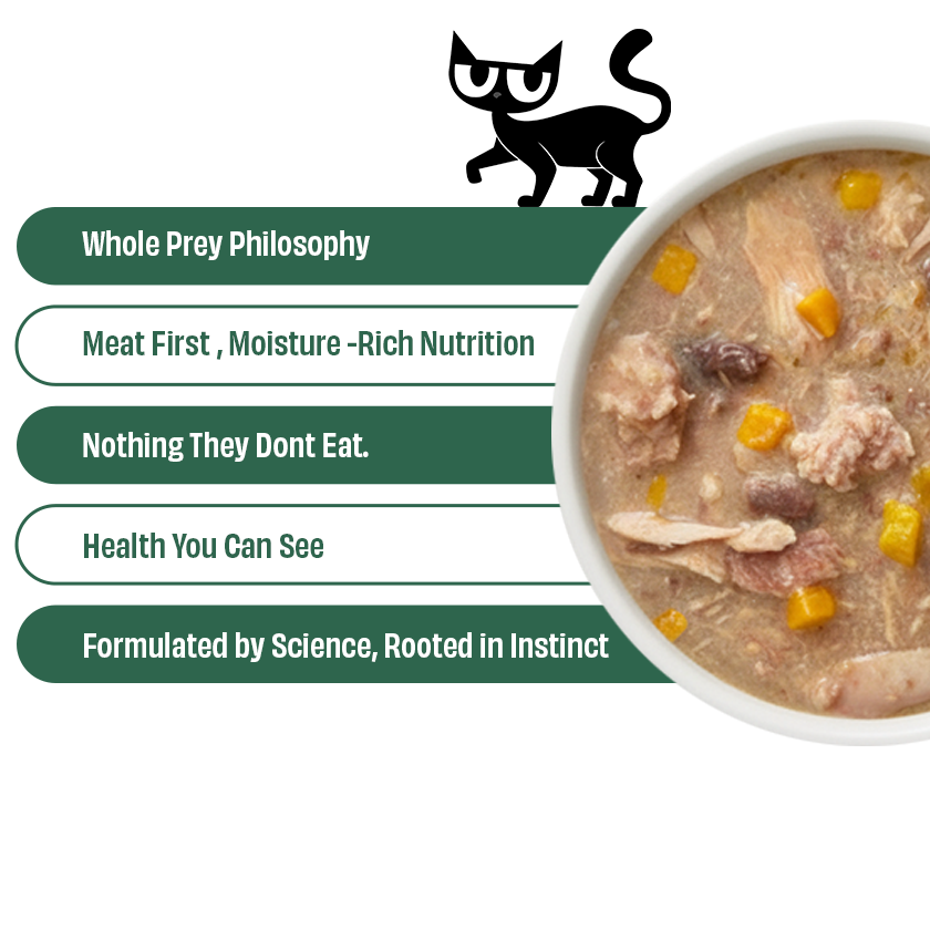 Starter Box (Pack of 6)