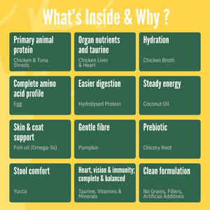 Chicken & Tuna (Pack of 6) 70g each