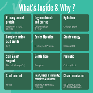Mackerel & Tuna (Pack of 6) 70g each