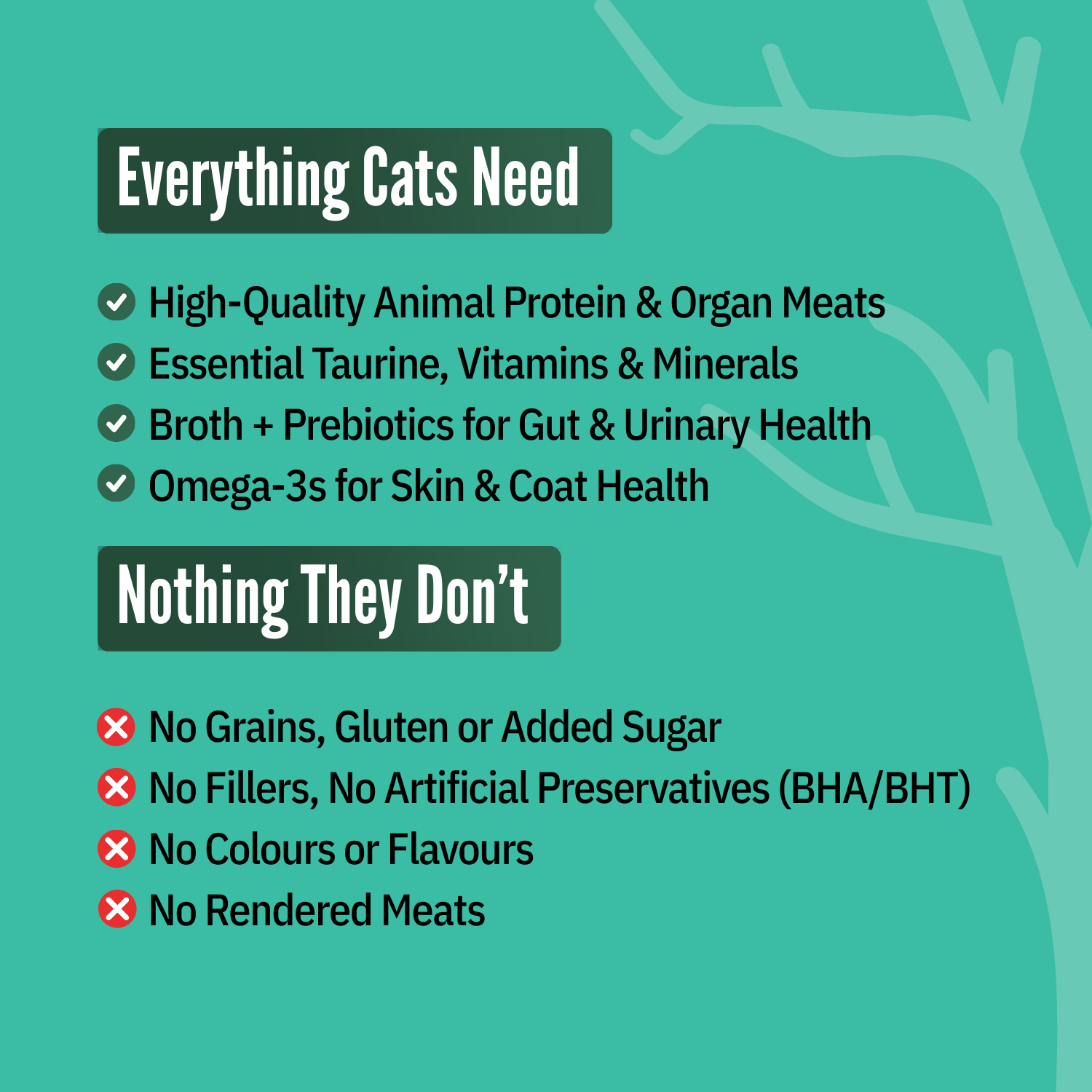 Mackerel & Tuna (Pack of 6) 70g each