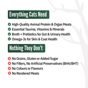 Starter Box (Pack of 6)