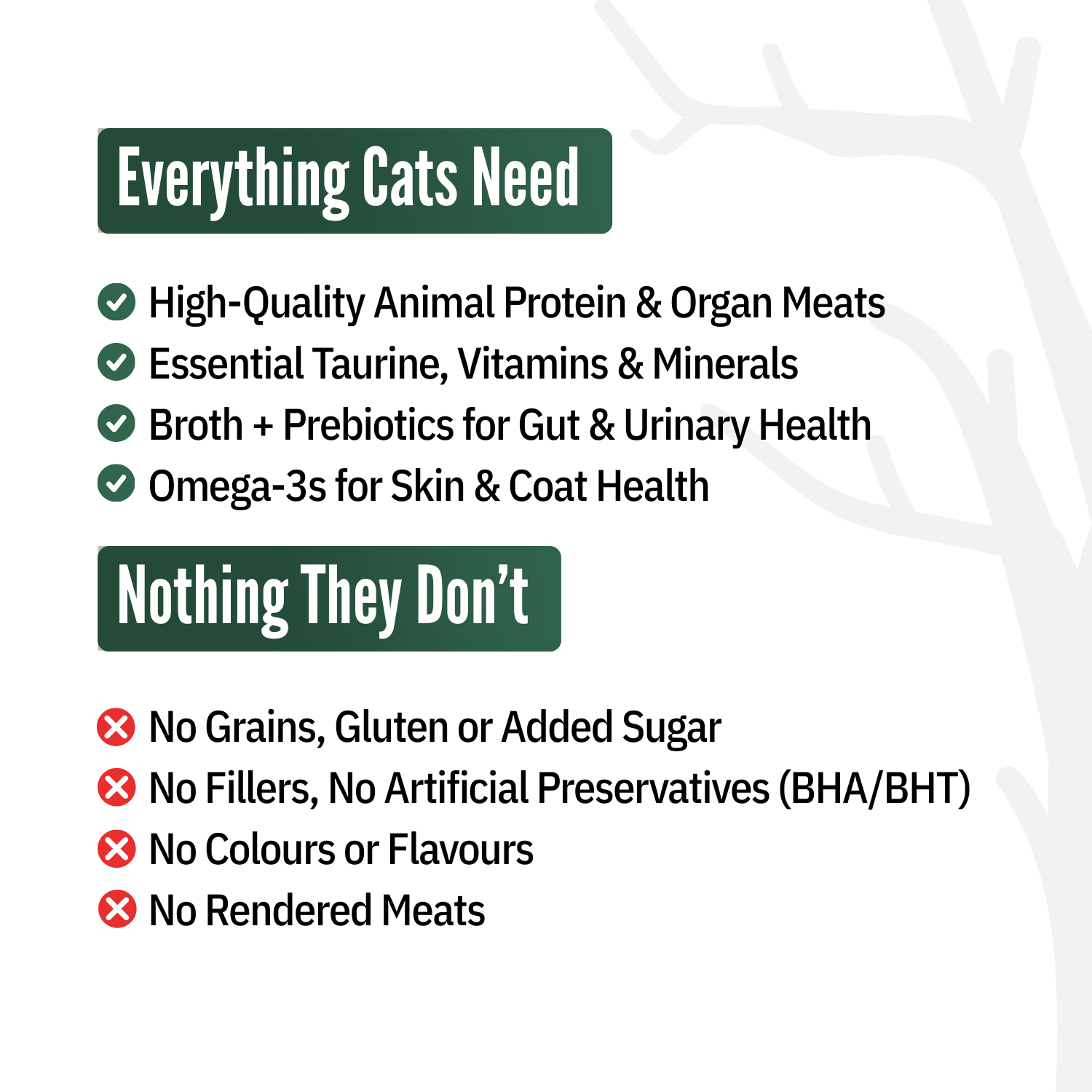 Starter Box (Pack of 6)