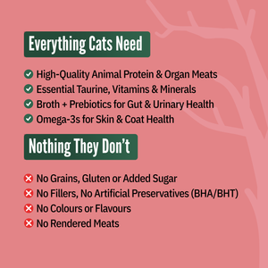 Chicken & Egg (Pack of 6) 70g each