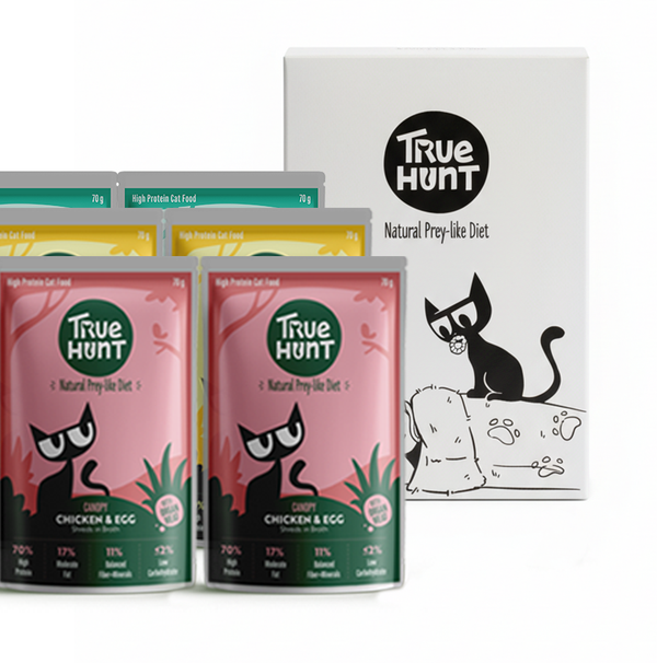 Starter Box (Pack of 6)